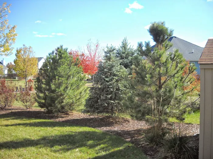 Tom's Creative Landscaping Inc Picture 1