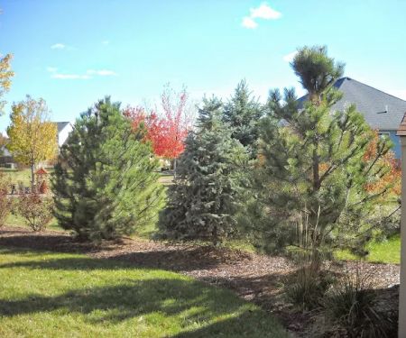 Tom's Creative Landscaping Inc