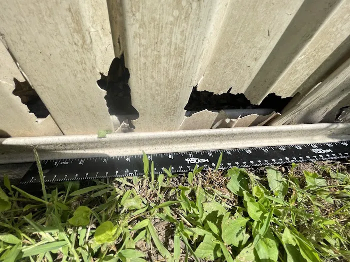 Tecza Landscape Group Picture 2