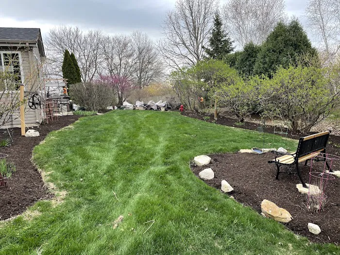 Best Budget Tree Service Firewood & Mulch Picture 1