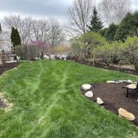 Best Budget Tree Service Firewood & Mulch ico