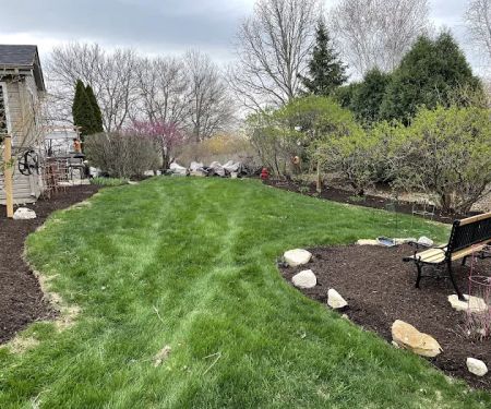 Best Budget Tree Service Firewood & Mulch