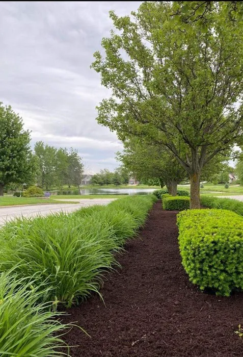 Best Budget Tree Service Firewood & Mulch Picture 5
