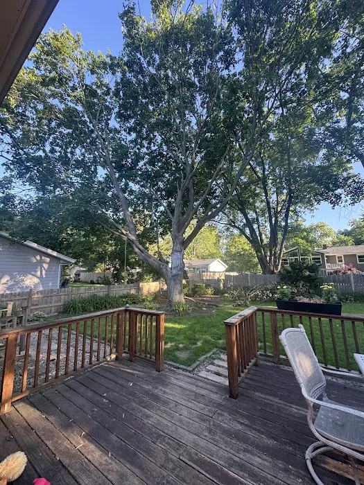 Best Budget Tree Service Firewood & Mulch Picture 4