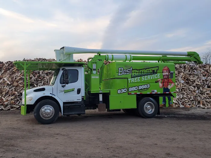 Best Budget Tree Service Firewood & Mulch Picture 9