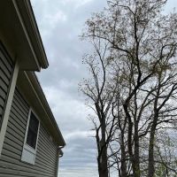 M&C Landscaping and Tree service . ico