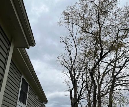 M&C Landscaping and Tree service .