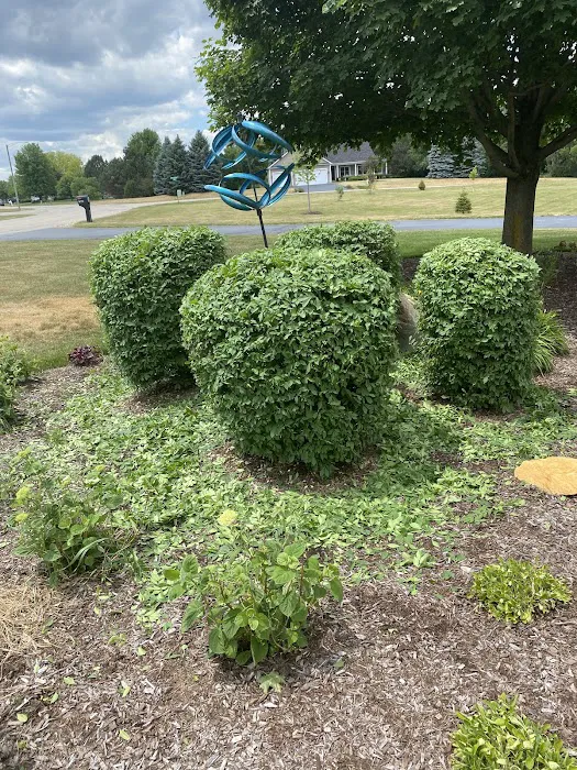 M&C Landscaping and Tree service . Picture 5