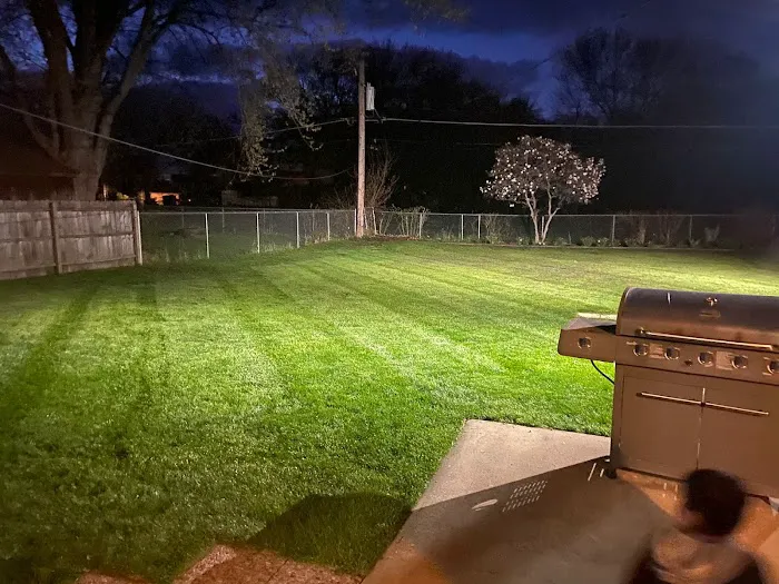 M&C Landscaping and Tree service . Picture 2