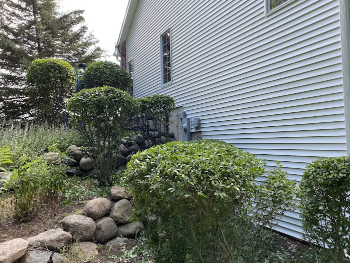 M&C Landscaping and Tree service . Picture 6
