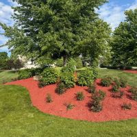 The Grounds Guys Of McHenry ico