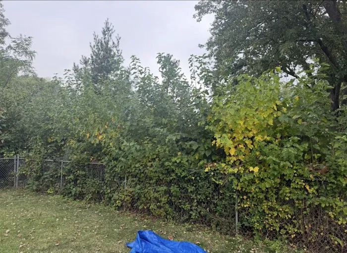 One Fine Cut Landscaping Picture 5