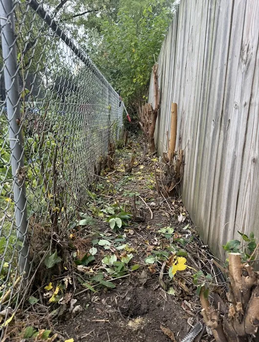 One Fine Cut Landscaping Picture 1