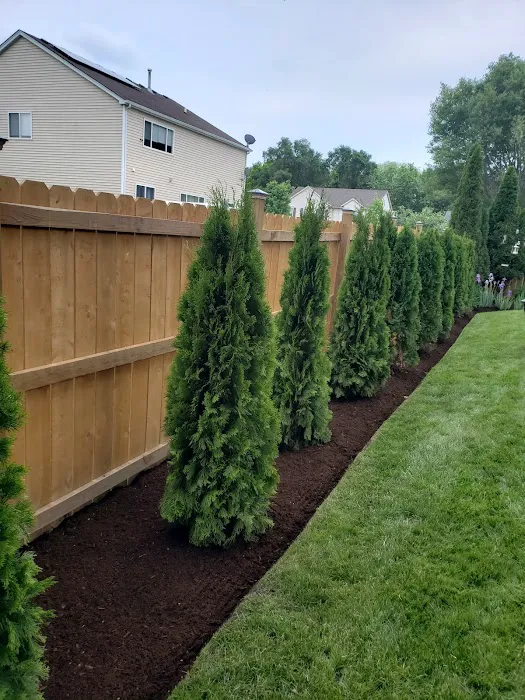 Chepe Landscaping and Snow Removal Picture 2