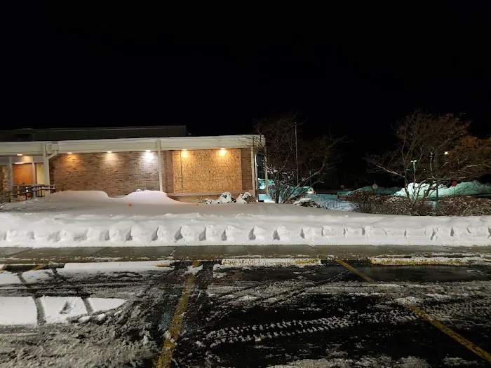 Chepe Landscaping and Snow Removal Picture 4
