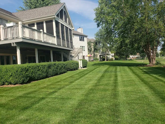 Chepe Landscaping and Snow Removal Picture 6