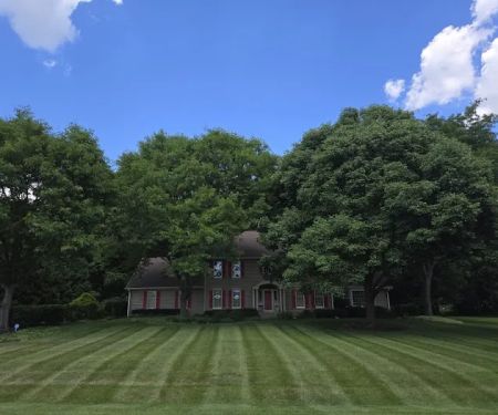 Chepe Landscaping and Snow Removal
