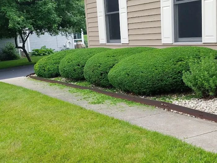 Chepe Landscaping and Snow Removal Picture 7