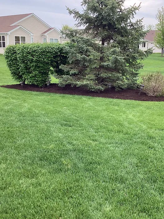 Luis Lawn Care Inc. Picture 2