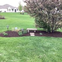 Luis Lawn Care Inc. ico
