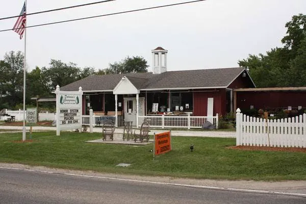 Dalman's Evergreens Picture 1