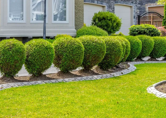 Gavina Landscaping Inc. Picture 6