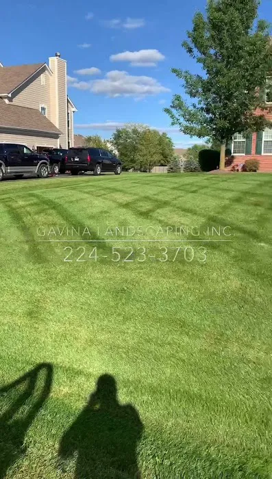 Gavina Landscaping Inc. Picture 8