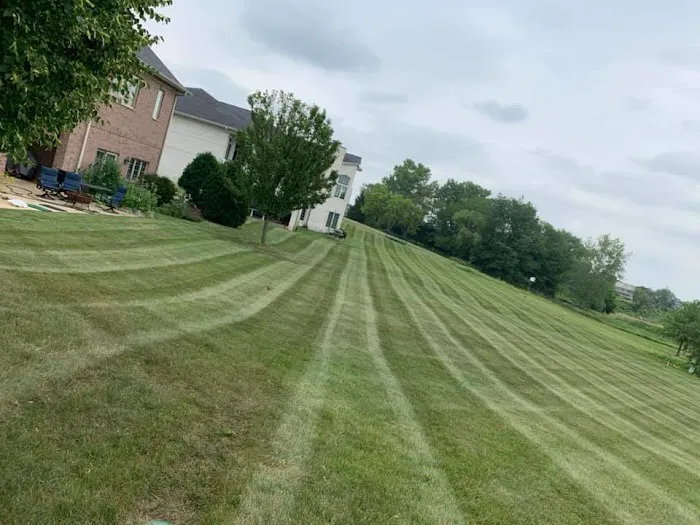 Gavina Landscaping Inc. Picture 7