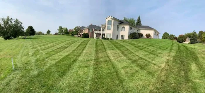 Gavina Landscaping Inc. Picture 5