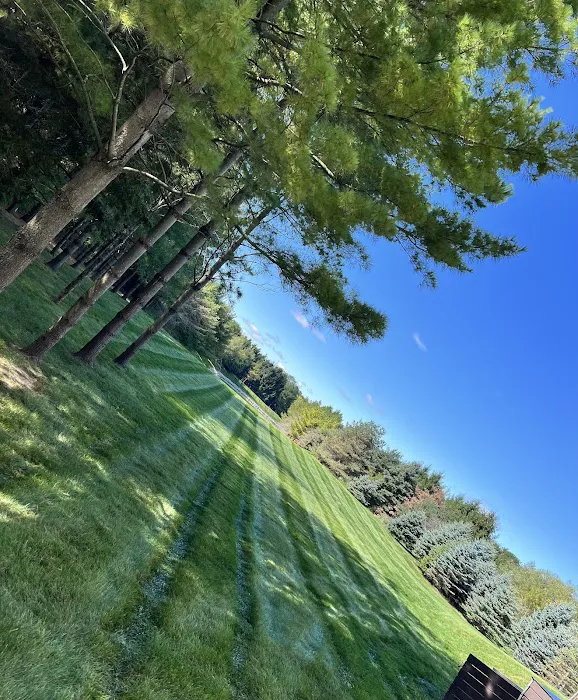 Gavina Landscaping Inc. Picture 3