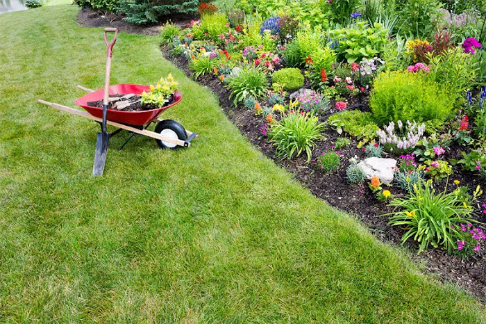 Monarch Landscape and Irrigation Picture 2