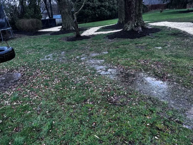 Eddie's Landscaping Picture 8