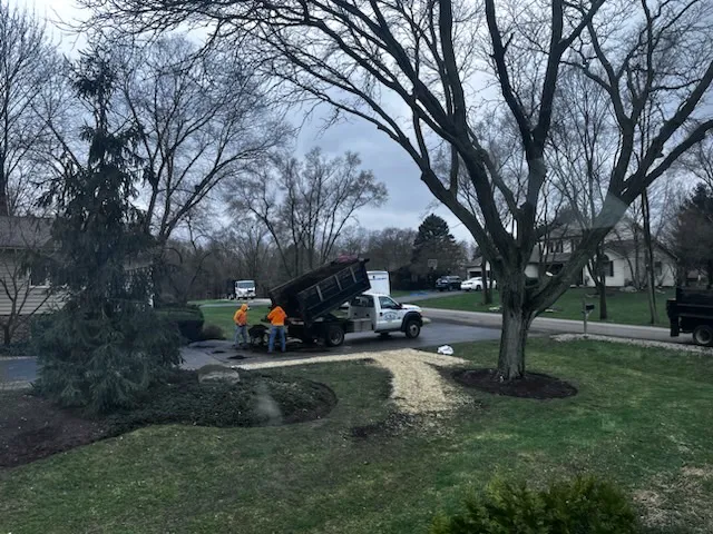 Eddie's Landscaping Picture 5