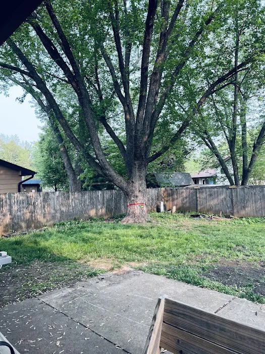 Eddie's Landscaping Picture 10