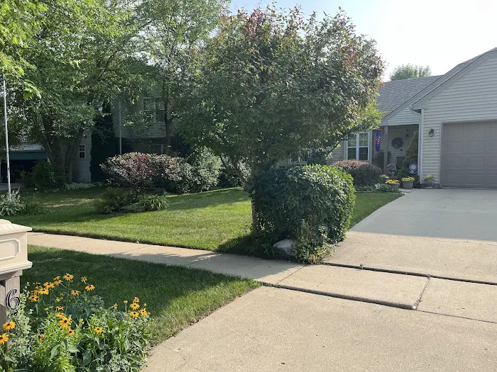 Savvy Lawn Care Service Picture 4