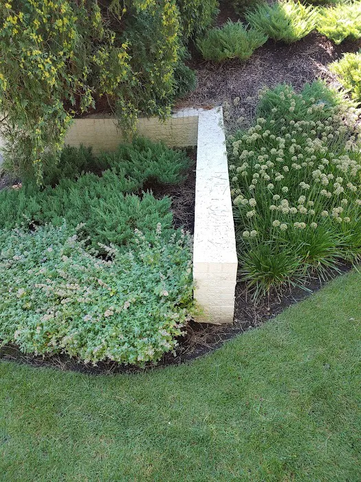 Savvy Lawn Care Service Picture 3