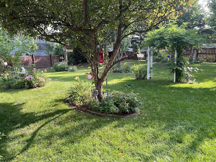 Savvy Lawn Care Service Picture 2