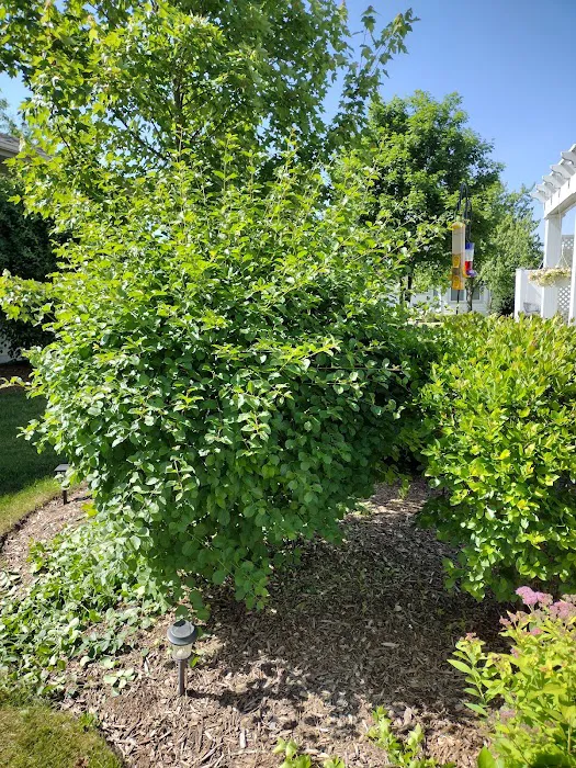 Campos Landscape Inc. Picture 2
