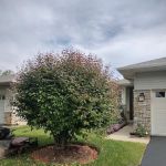 Campos Landscape Inc.