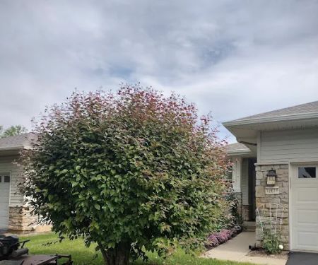 Campos Landscape Inc.