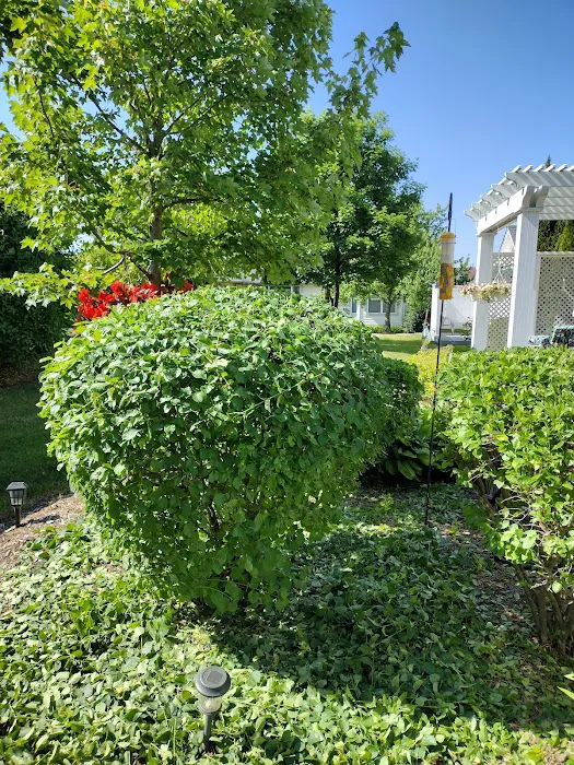 Campos Landscape Inc. Picture 5