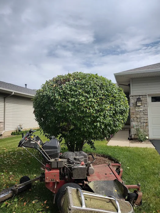 Campos Landscape Inc. Picture 8
