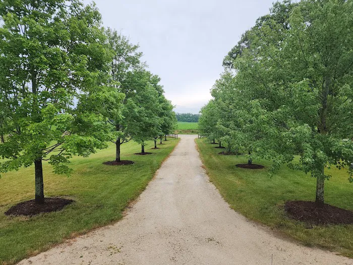 Elite Landscaping Picture 9