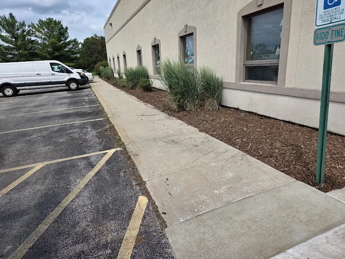 Elite Landscaping Picture 8