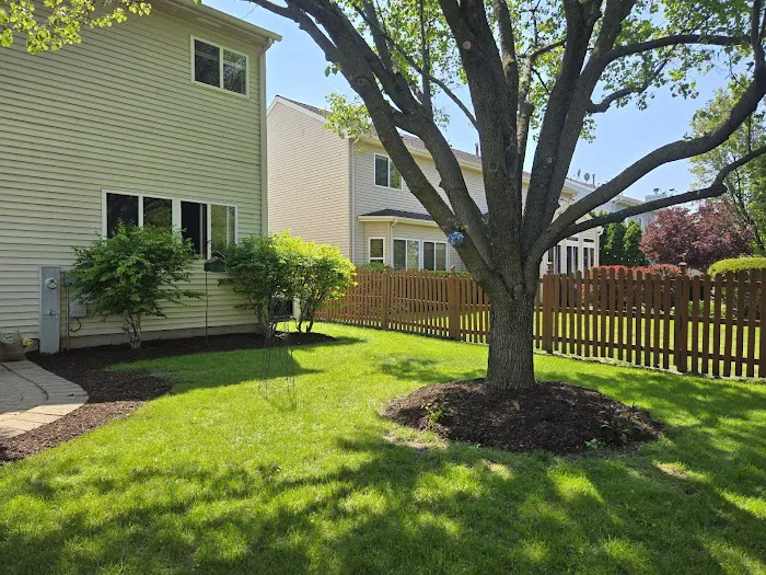 Elite Landscaping Picture 1