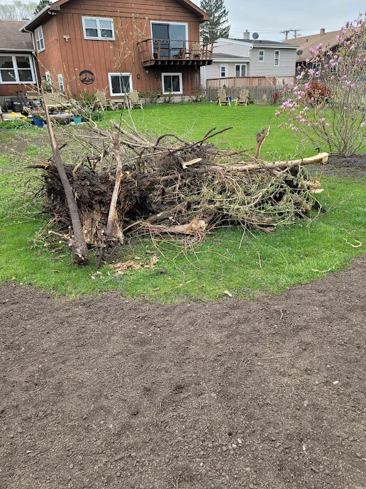 Express Lawn Care & Landscaping Picture 6