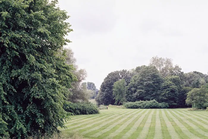 Express Lawn Care & Landscaping Picture 1