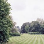 Express Lawn Care & Landscaping