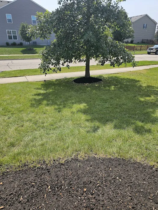 Express Lawn Care & Landscaping Picture 3