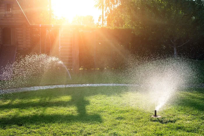Express Lawn Care & Landscaping Picture 8
